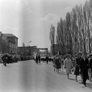 skany izba regionalna sredni format - kopalnia-1161