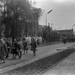 skany izba regionalna sredni format - kopalnia-1019