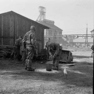 skany izba regionalna sredni format - kopalnia-248