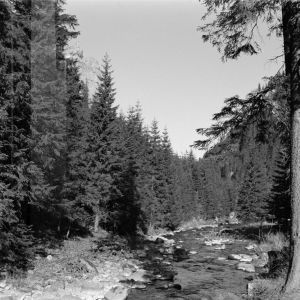 skany izba regionalna sredni format - kopalnia-2402