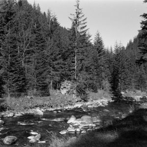 skany izba regionalna sredni format - kopalnia-2407