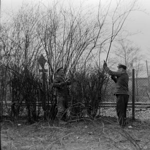 skany izba regionalna sredni format - kopalnia-2313