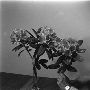 skany izba regionalna sredni format - kopalnia-2796