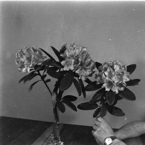 skany izba regionalna sredni format - kopalnia-2797