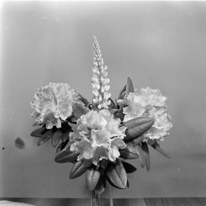 skany izba regionalna sredni format - kopalnia-2798