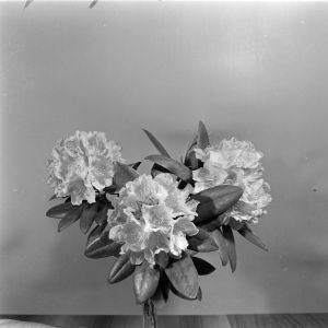 skany izba regionalna sredni format - kopalnia-2799