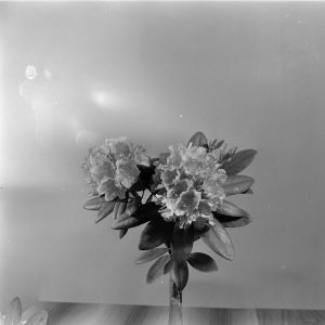 skany izba regionalna sredni format - kopalnia-2800