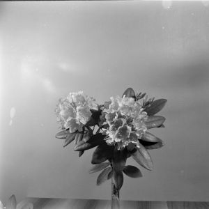 skany izba regionalna sredni format - kopalnia-2801