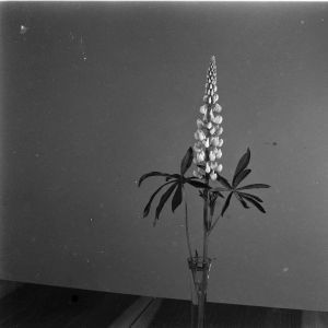 skany izba regionalna sredni format - kopalnia-2802