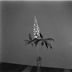 skany izba regionalna sredni format - kopalnia-2803