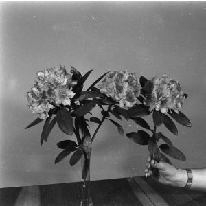 skany izba regionalna sredni format - kopalnia-2804