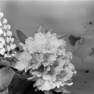 skany izba regionalna sredni format - kopalnia-2807