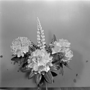 skany izba regionalna sredni format - kopalnia-2808