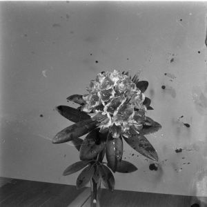 skany izba regionalna sredni format - kopalnia-2811