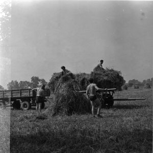 skany izba regionalna sredni format - kopalnia-2013