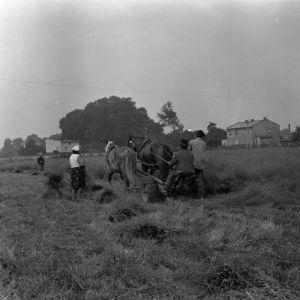 skany izba regionalna sredni format - kopalnia-2015
