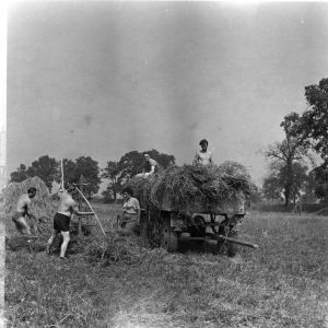 skany izba regionalna sredni format - kopalnia-2018