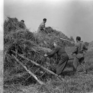 skany izba regionalna sredni format - kopalnia-2020