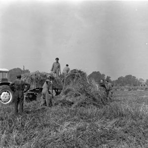 skany izba regionalna sredni format - kopalnia-2021