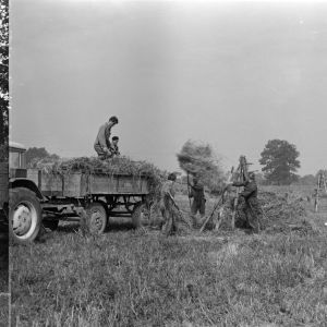 skany izba regionalna sredni format - kopalnia-2022