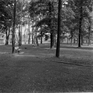 skany izba regionalna sredni format - kopalnia-714