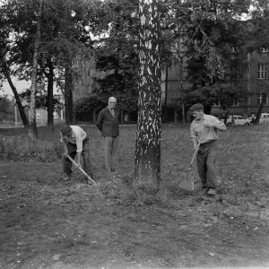 skany izba regionalna sredni format - kopalnia-722