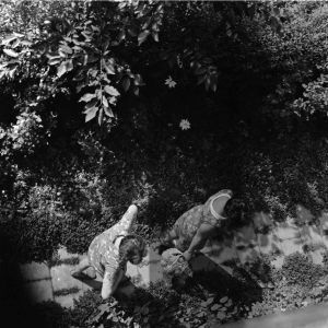 skany izba regionalna sredni format - kopalnia-2190