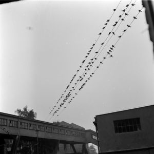 skany izba regionalna sredni format - kopalnia-2711