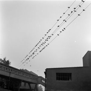 skany izba regionalna sredni format - kopalnia-2712