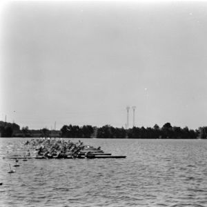 skany izba regionalna sredni format - kopalnia-2753