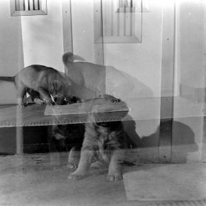 skany izba regionalna sredni format - kopalnia-1476