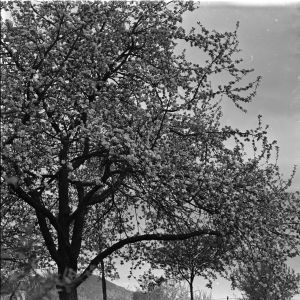 skany izba regionalna sredni format - kopalnia-2485