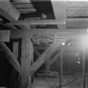 skany izba regionalna sredni format - kopalnia-1629