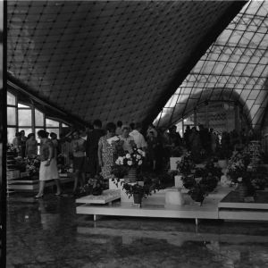 skany izba regionalna sredni format - kopalnia-2064