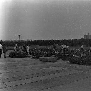 skany izba regionalna sredni format - kopalnia-2072