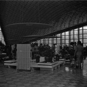 skany izba regionalna sredni format - kopalnia-2074