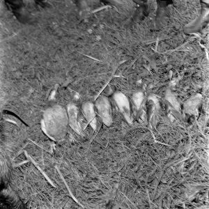 skany izba regionalna sredni format - kopalnia-1002