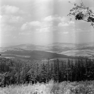 skany izba regionalna sredni format - kopalnia-887