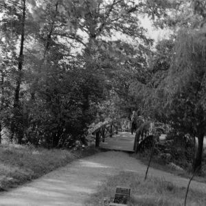 skany izba regionalna sredni format - kopalnia-1816